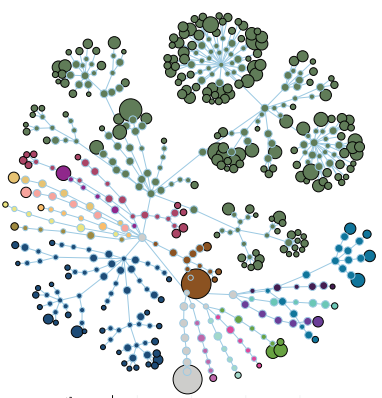 Image showing clusters of microbiota