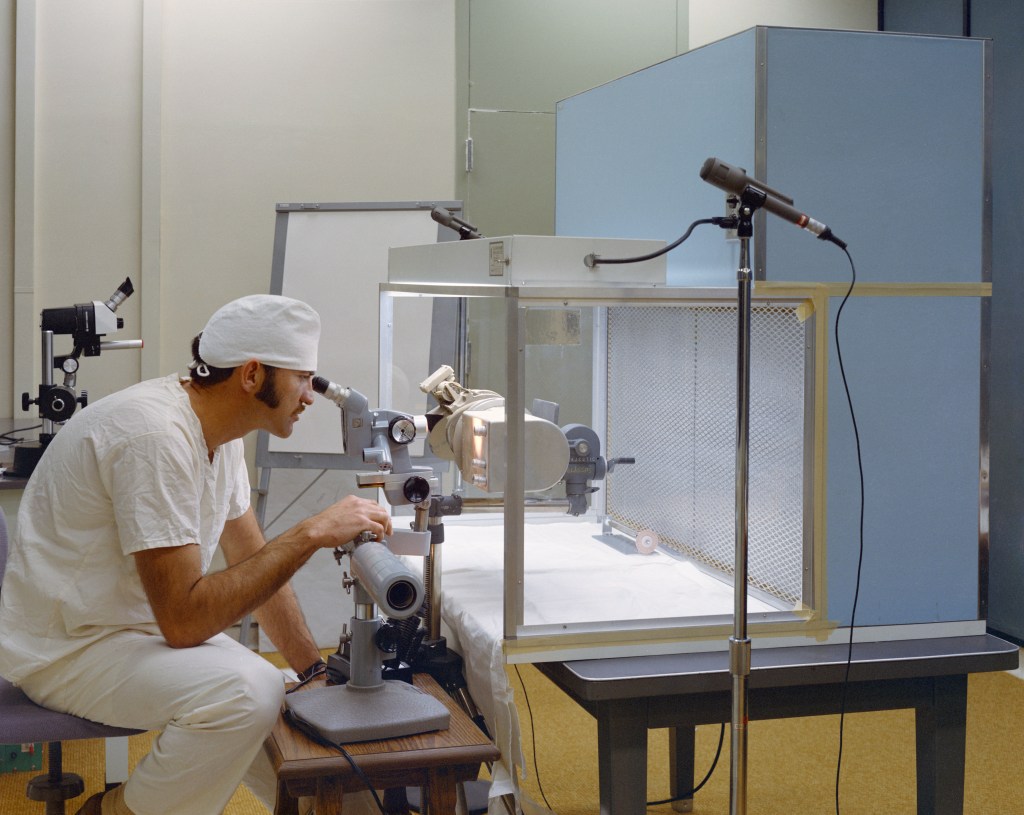 A white clad technician bent over examining some equipment in a glass enclosure.