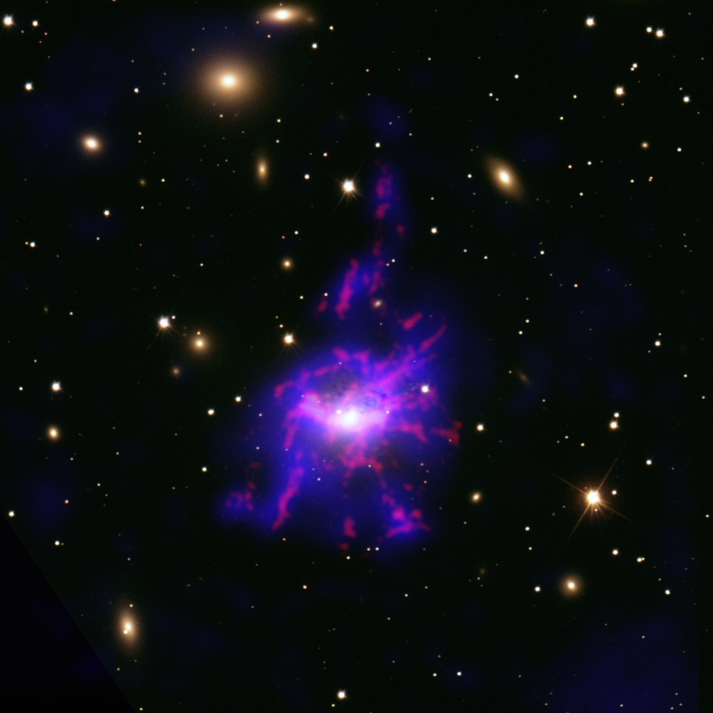 Astronomers have taken a crucial step in showing that the most massive black holes in the universe can create their own meals. Using X-ray data from Chandra and optical light data, this study, based on observations of seven galaxy clusters in total, provides new evidence that outbursts from black holes can cool down gas to feed themselves. Massive galaxies at the centers of the clusters contain huge black holes that power outbursts in the form of jets, driven by the black holes feasting on gas. This image shows the X-ray and optical data of the Perseus cluster from the survey.