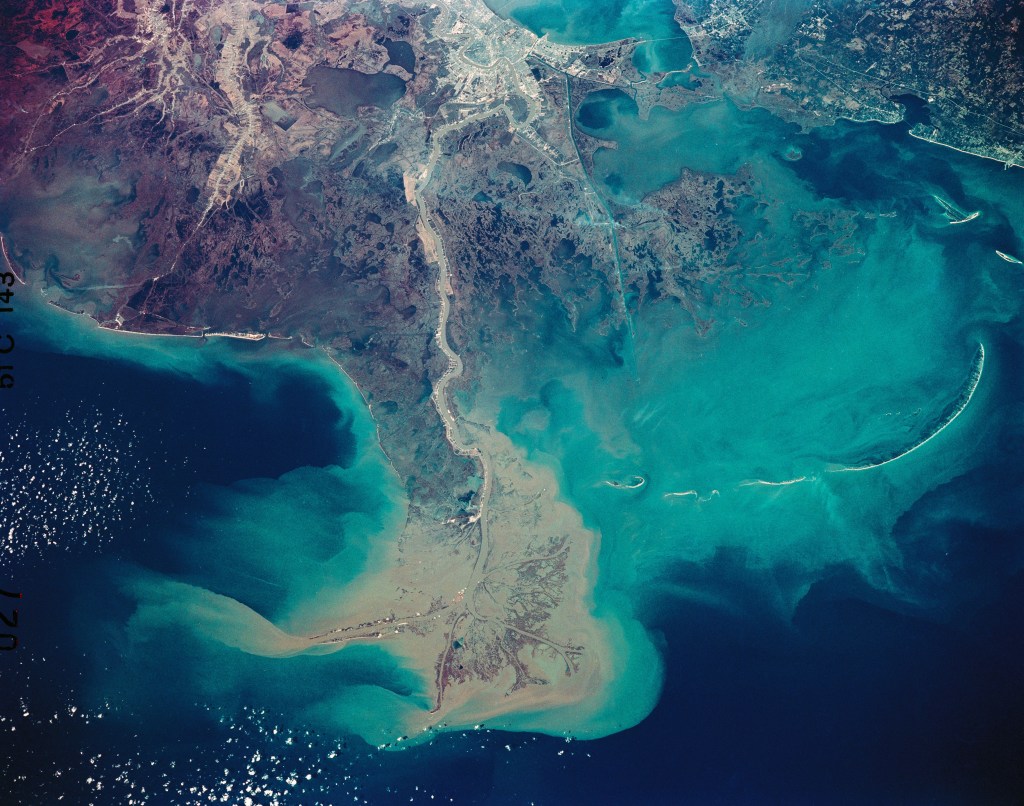 View of the Earth from space, looking a river delta with dark blue ocean giving way to light blue in shallower waters.