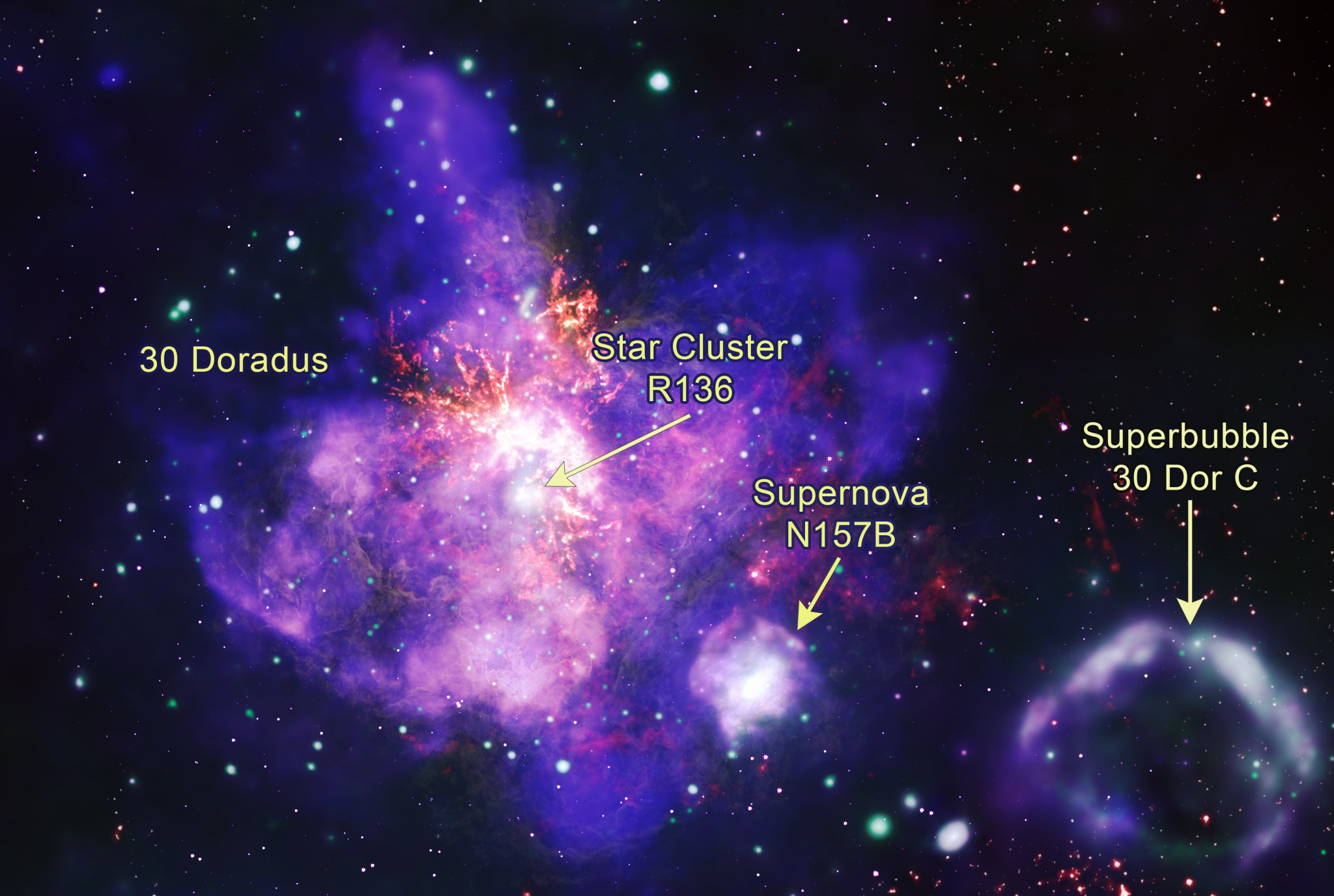 Chandra captured the deepest X-ray image ever made of the spectacular star forming region called 30 Doradus. These images show the X-rays from Chandra, as well as optical data from Hubble, infrared data from Spitzer, and radio data from ALMA, and reveal one of the brightest and crowded regions of star formation relatively close to Earth. The Chandra data shows thousands of individual star systems as X-ray sources plus a diffuse X-ray glow from winds blowing off giant stars and gas expelled by supernovas.