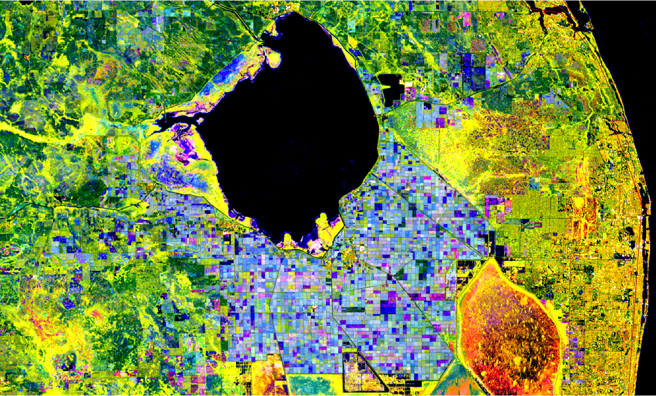 An aerial view of Lake Okeechobee, Florida, in a false-color satellite image. The lake is a large black shape in the center, surrounded by colorful patchwork fields and vegetation.