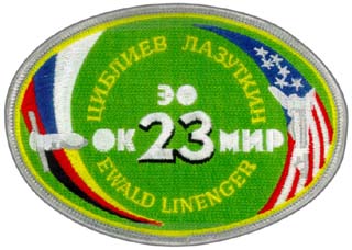 Mir-23 patch
